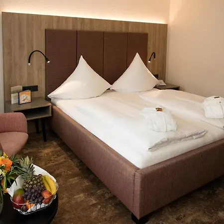 罗塔勒霍夫酒店 酒店