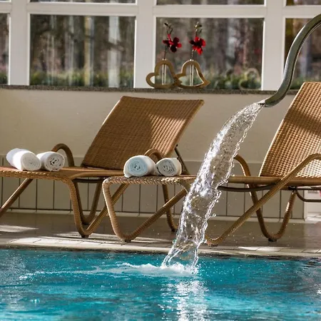 罗塔勒霍夫酒店 酒店 巴特法兴格