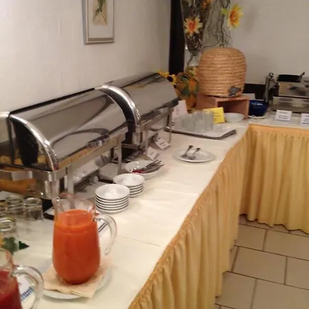 罗塔勒霍夫酒店 酒店 3*