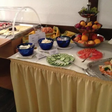 罗塔勒霍夫酒店 酒店