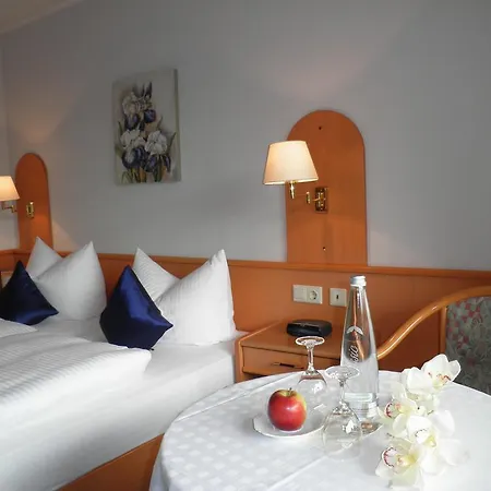 Thermen-hotel Rottaler Hof 3* Bad Fussing